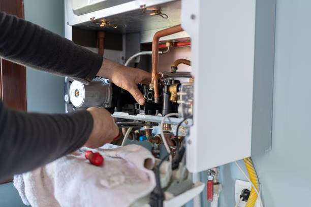 Best Plumbing Inspection Services  in Terryville, NY